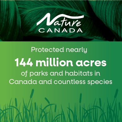 Giving Back – Nature's Way Canada