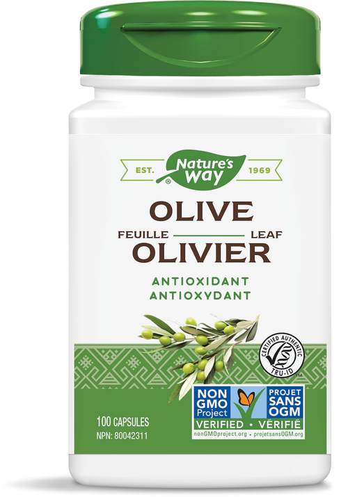 Feuille d'Olivier / 100 gélules