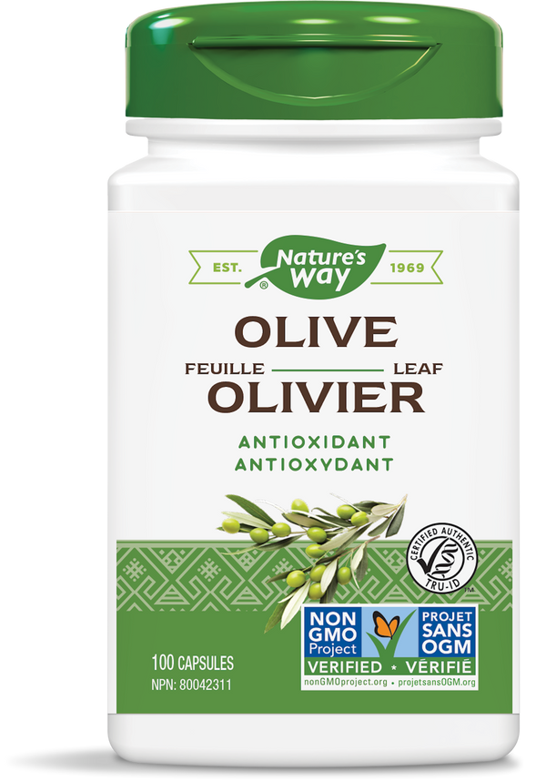 Feuille d'Olivier / 100 gélules