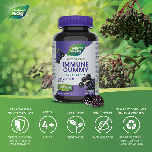 Sambucus Soutien immunitaire, Original Gélifiés / 60 gélifiés