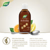 <{%MAIN3_13048%}>Nature's Way® | 