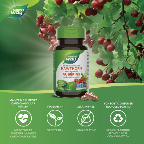 Hawthorn Berries / 100 capsules