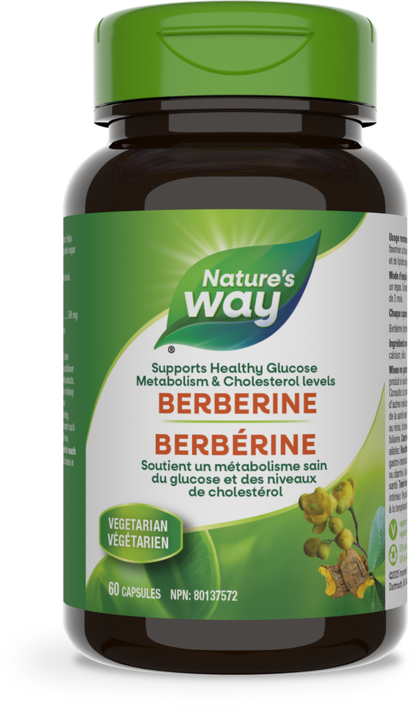 Berberine / 60 capsules