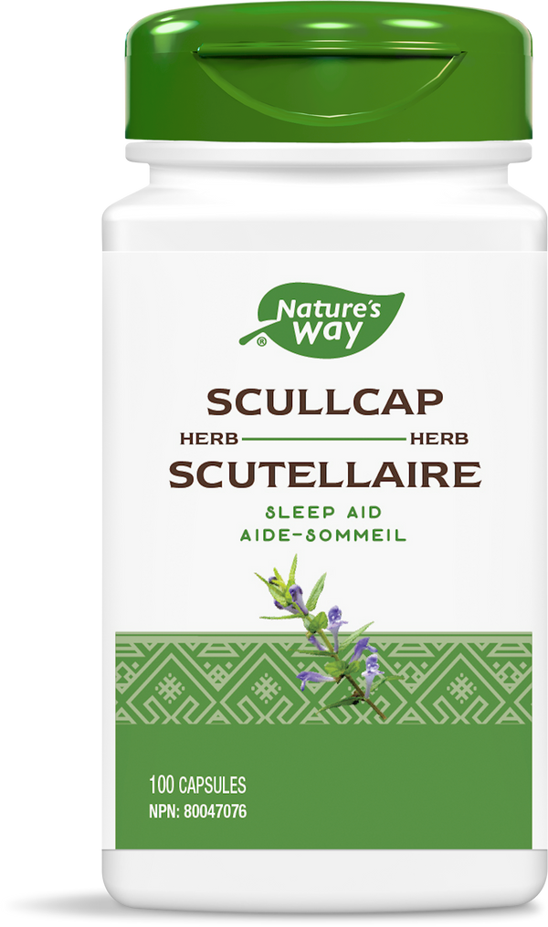 Scullcap Herbe / 100 gélules