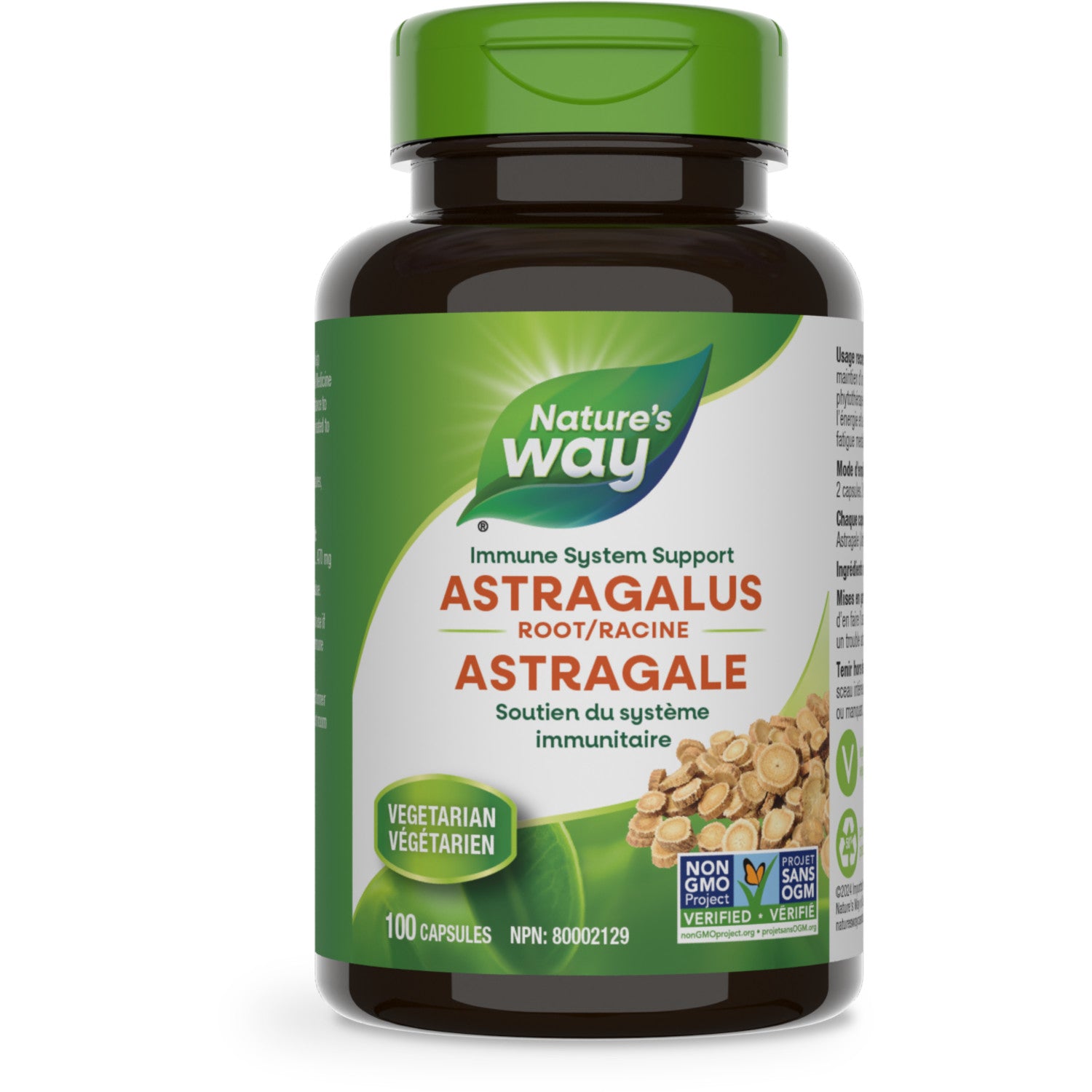 Astragalus Root / 100 capsules