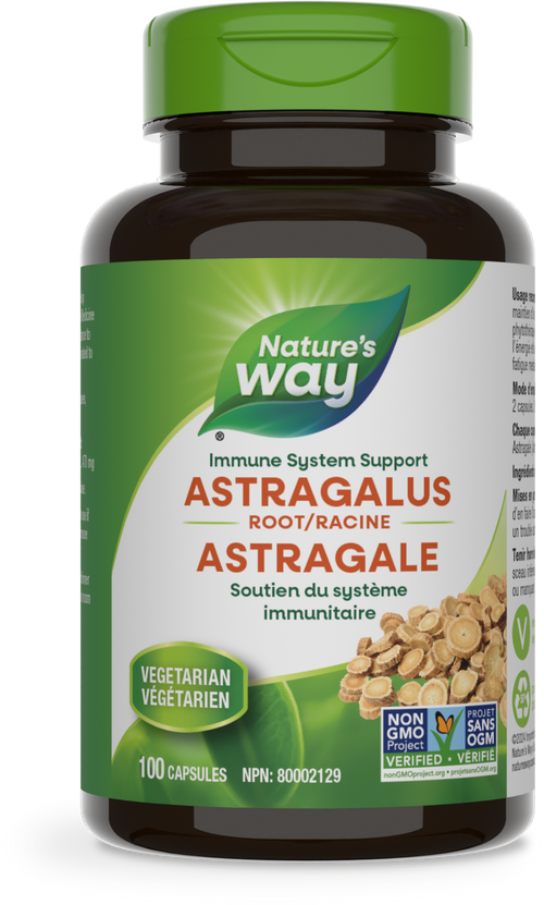 Racine d'astragale / 100 gélules