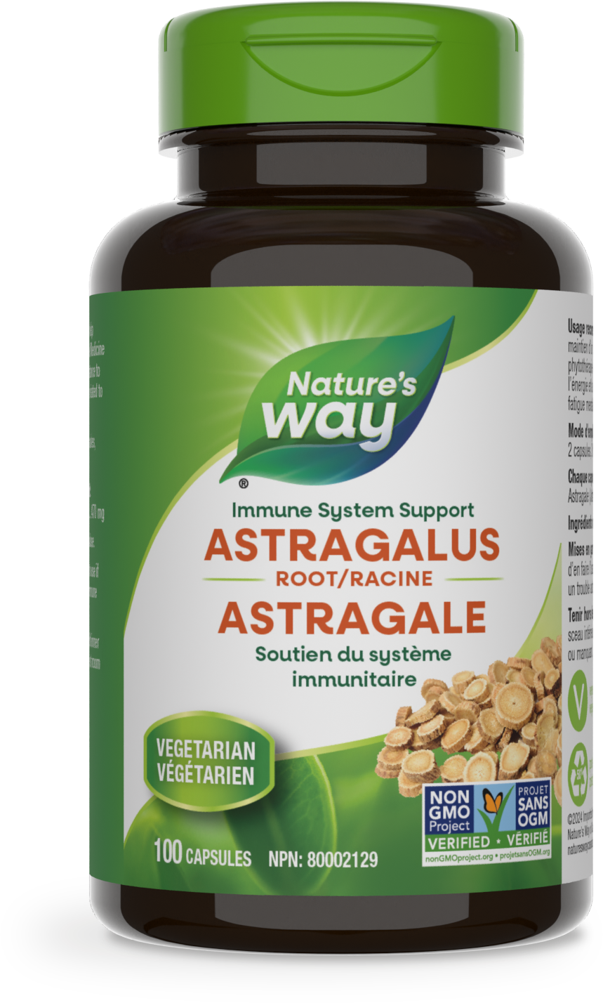 Astragalus Root / 100 capsules