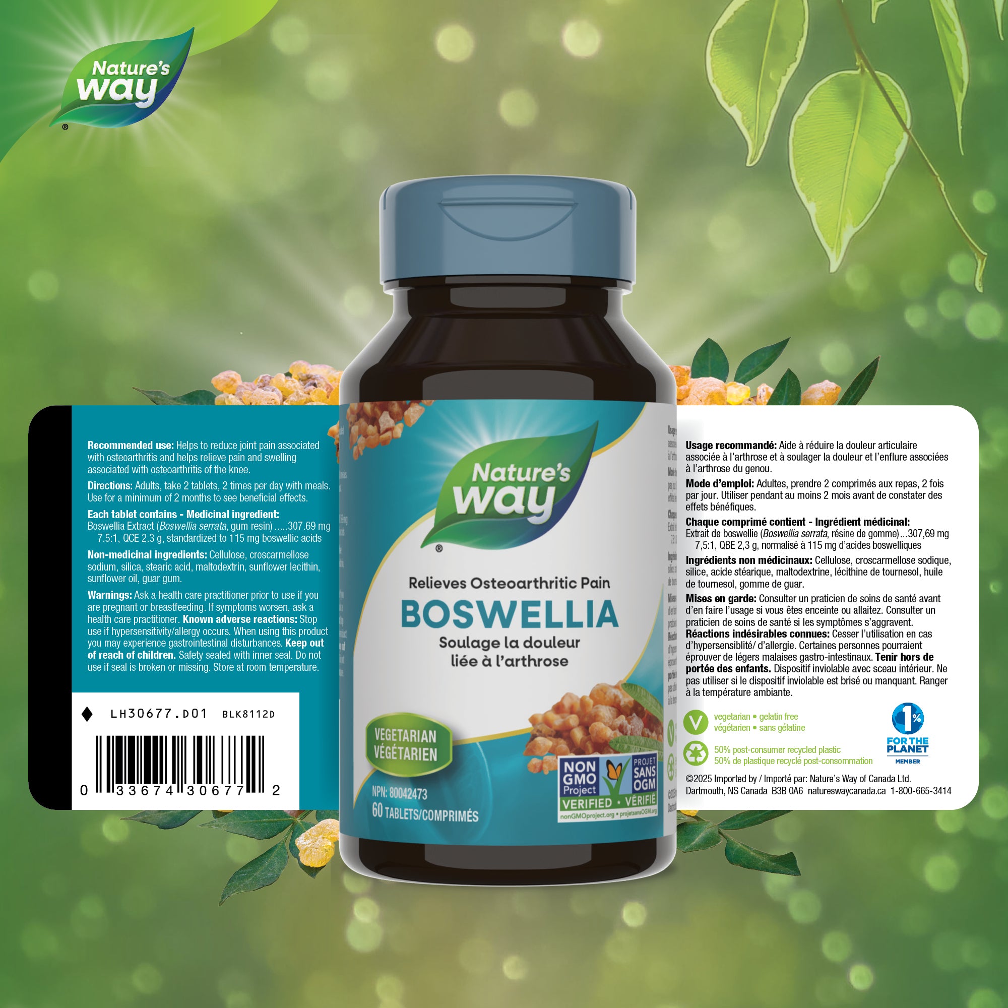 Boswellia / 60 tablets – Nature's Way Canada