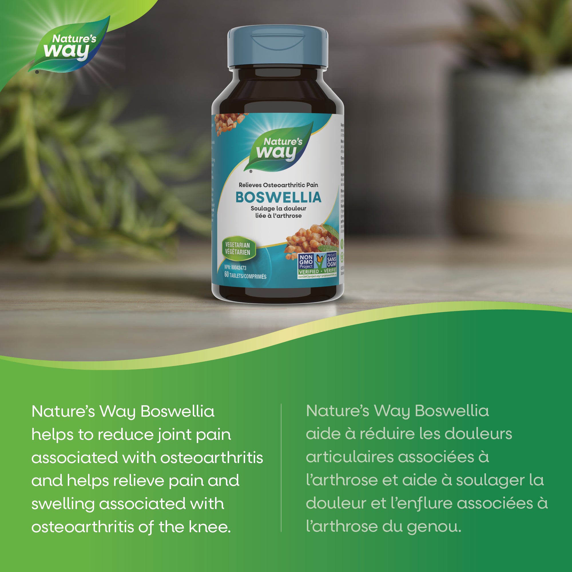 Boswellia / 60 tablets – Nature's Way Canada