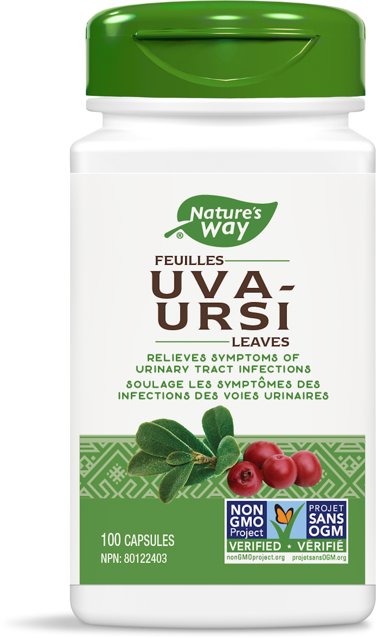 Uva Ursi Leaves / 100 capsules