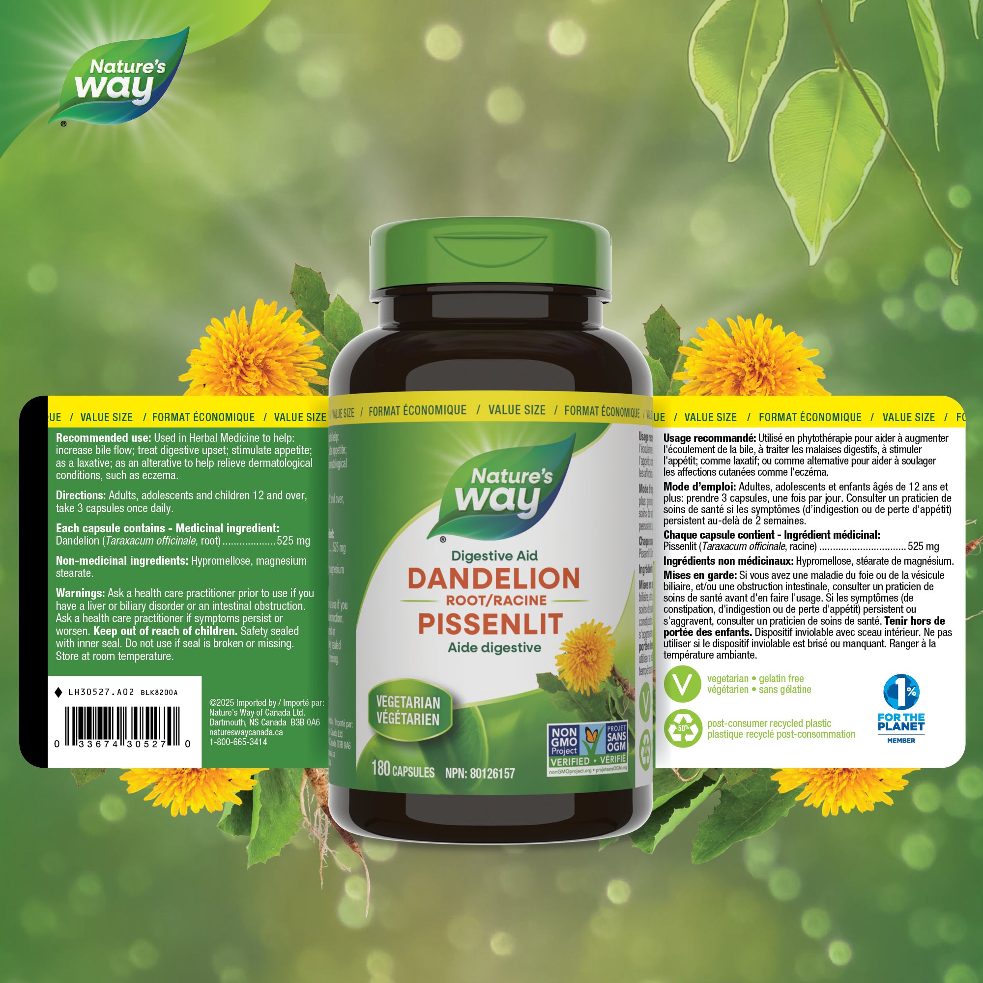 Dandelion Root / 180 capsules – Nature's Way Canada