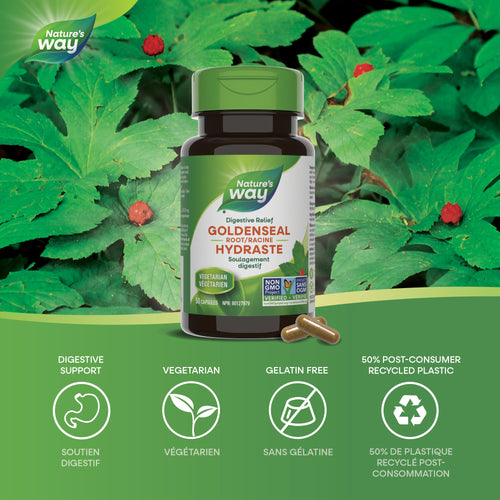 <{%MAIN1_30662%}>Nature's Way® | 