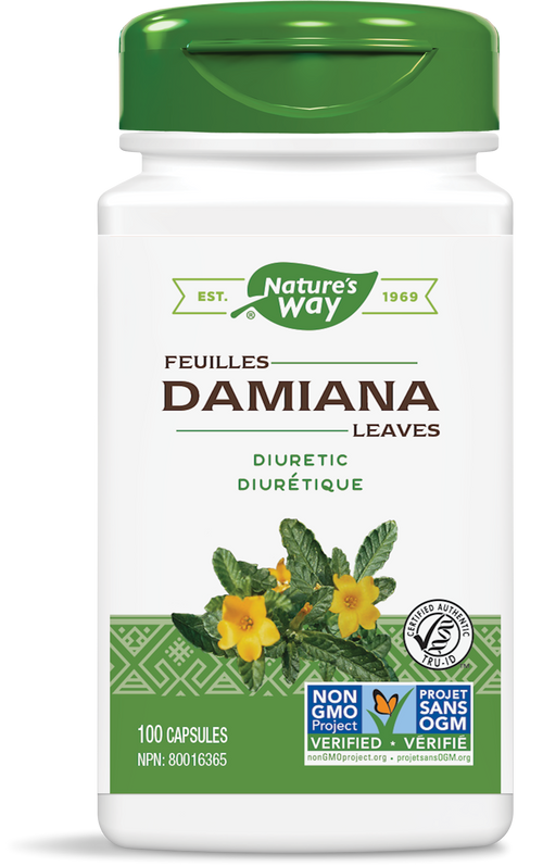 Damiana Leaves / 100 capsules