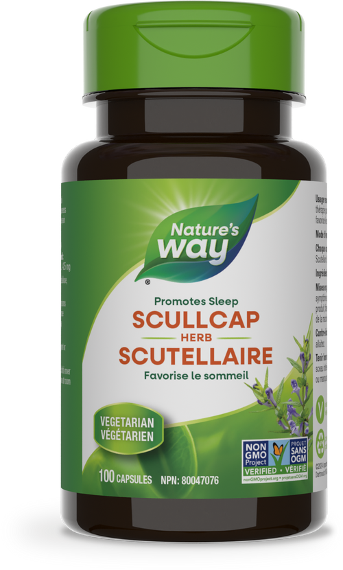 Scullcap Herbe / 100 gélules