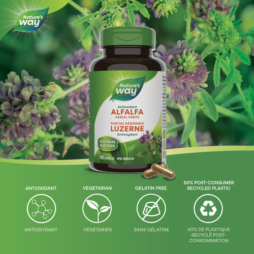 Alfalfa Leaves / 100 capsules