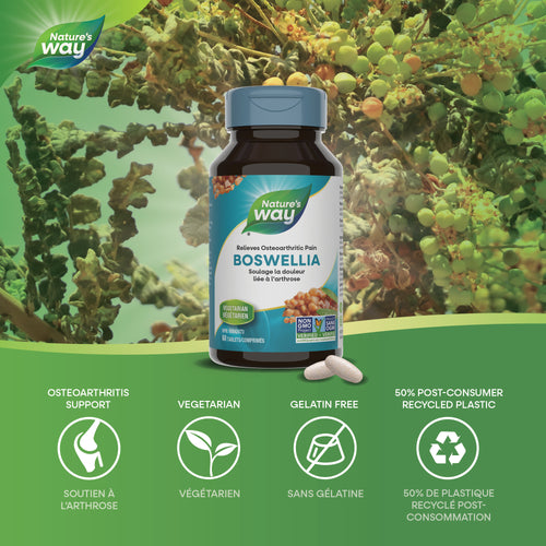 <{%MAIN1_30677%}>Nature's Way® | 