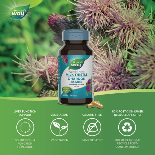 Milk Thistle / 60 capsules