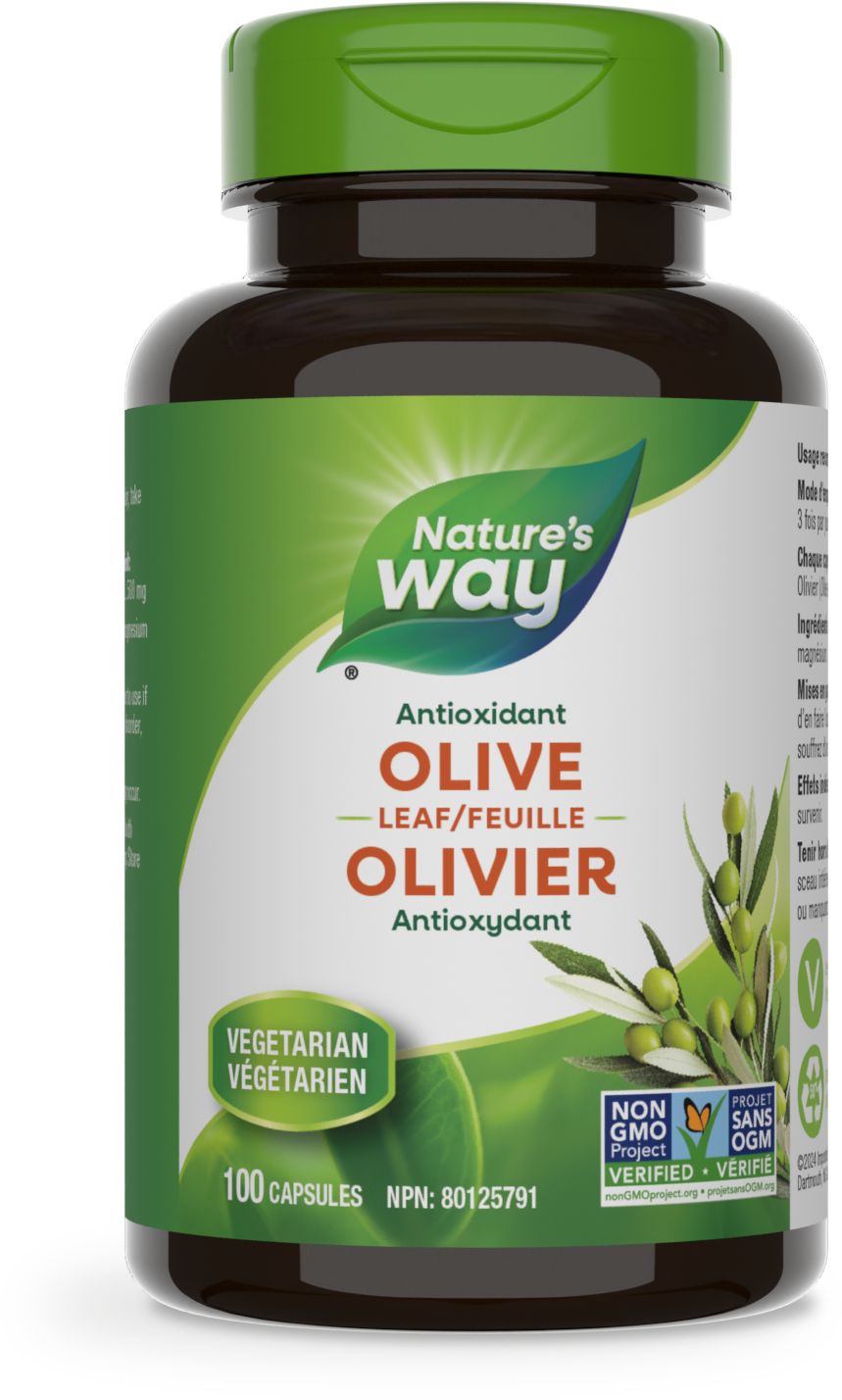 Olive Leaf / 100 capsules