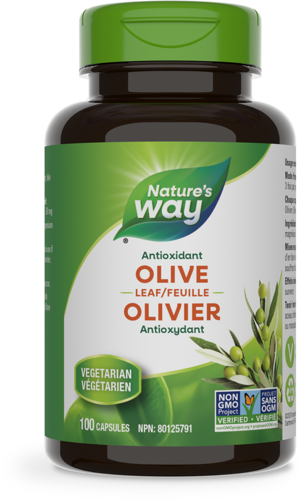 Olive Leaf / 100 capsules