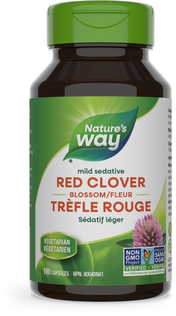Fleur de trèfle rouge / 100 gélules