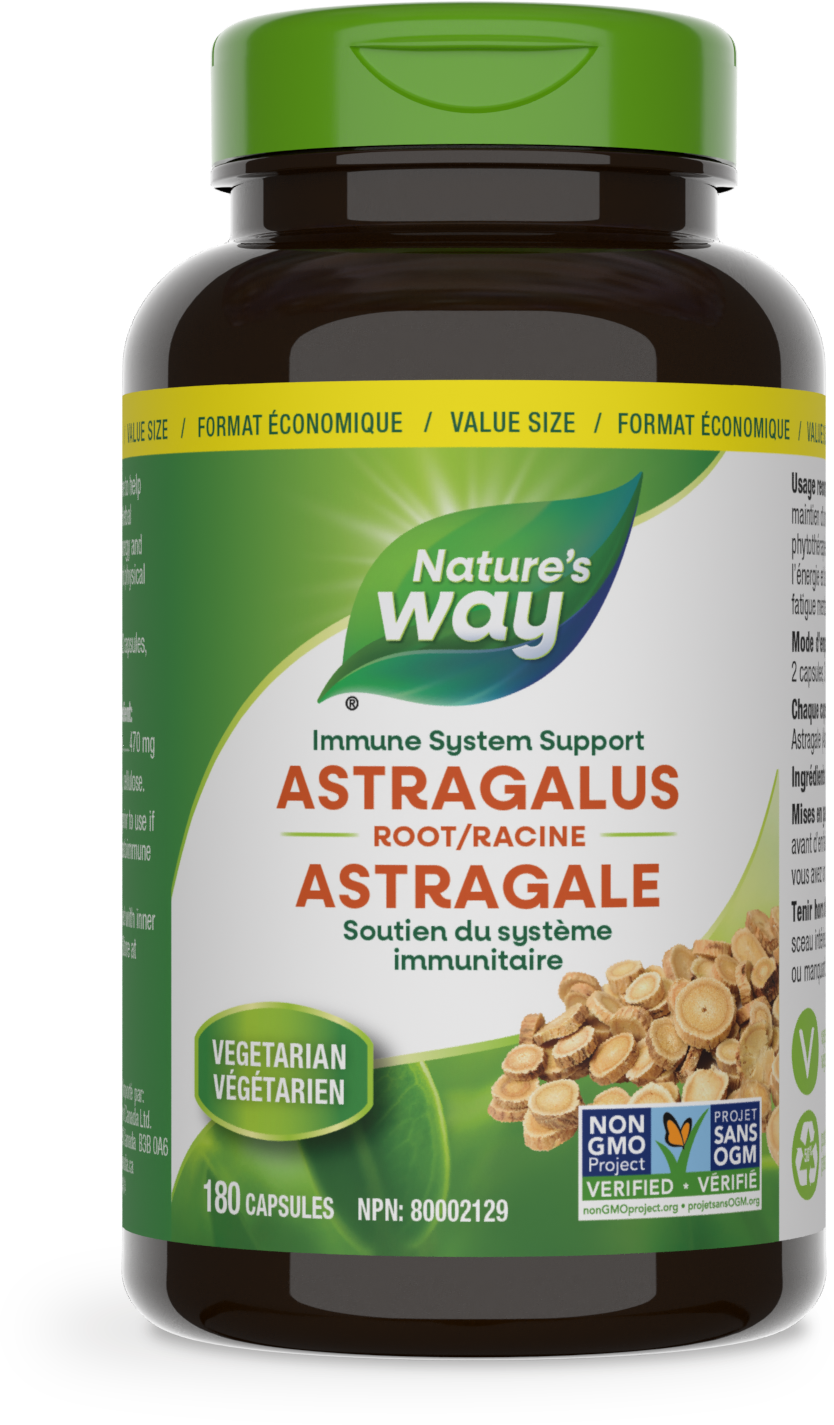 Astragalus Root / 180 capsules