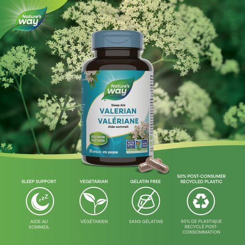 Valerian, Standardized Extract / 90 capsules