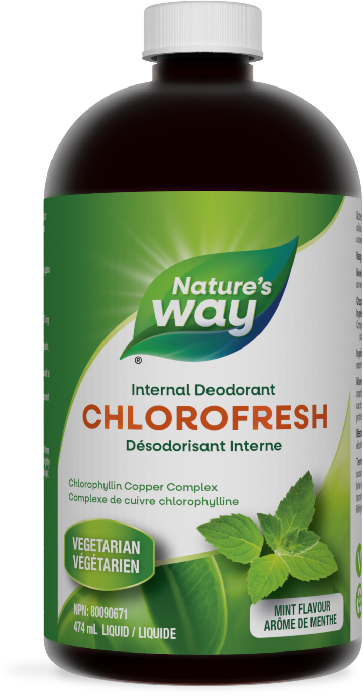 Chlorofresh™, Chlorophyllin Copper Complex, Liquid, Mint Flavour / 16 fl oz (474 ml)