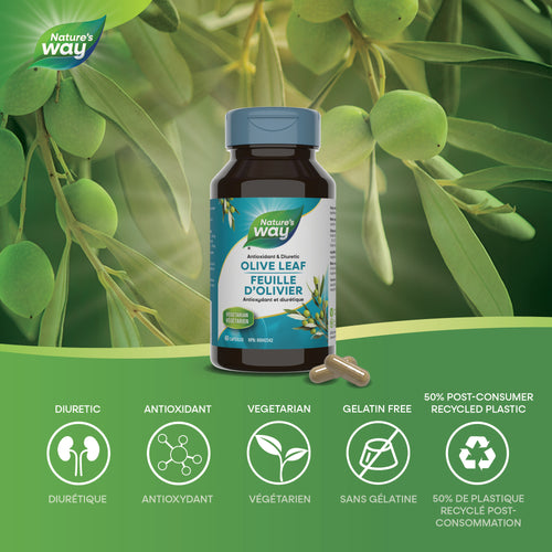 <{%MAIN1_31150%}>Nature's Way® | 