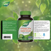 Slippery Elm Bark / 100 capsules