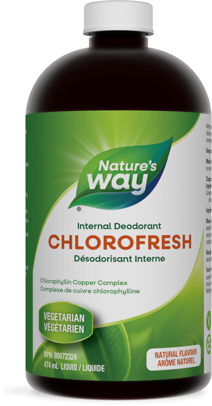 Chlorofresh™, Chlorophyllin Copper Complex, Liquid, Natural Flavour / 16 fl oz (474 ml)