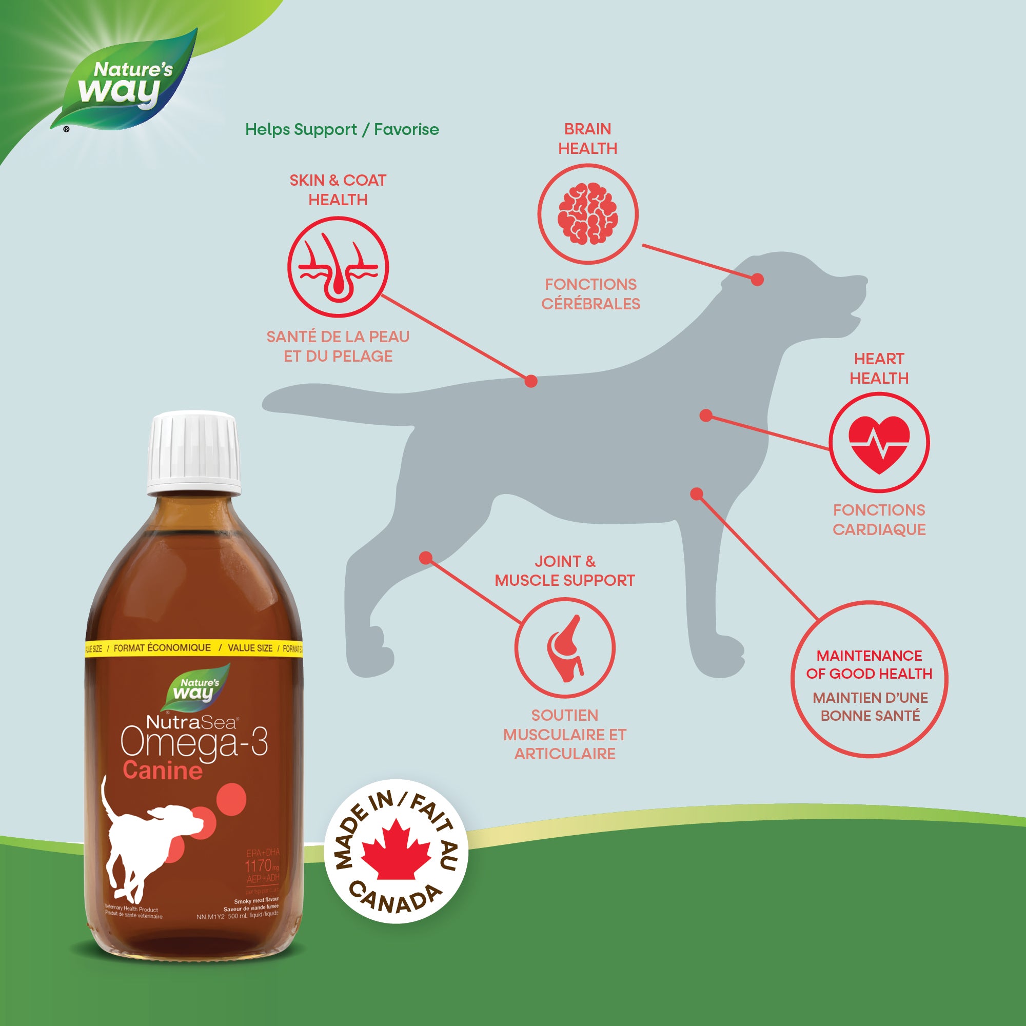 NutraSea Omega-3 Canine / 16.9 fl oz (500 ml) – Nature's Way Canada