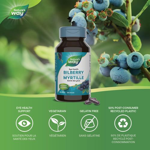 Bilberry / 60 capsules