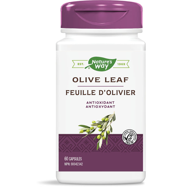 Olive Leaf, Standardized Extract / 60 capsules