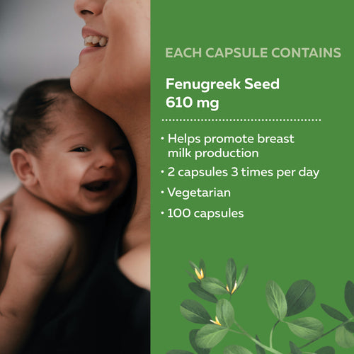 Fenugreek Seed / 100 capsules