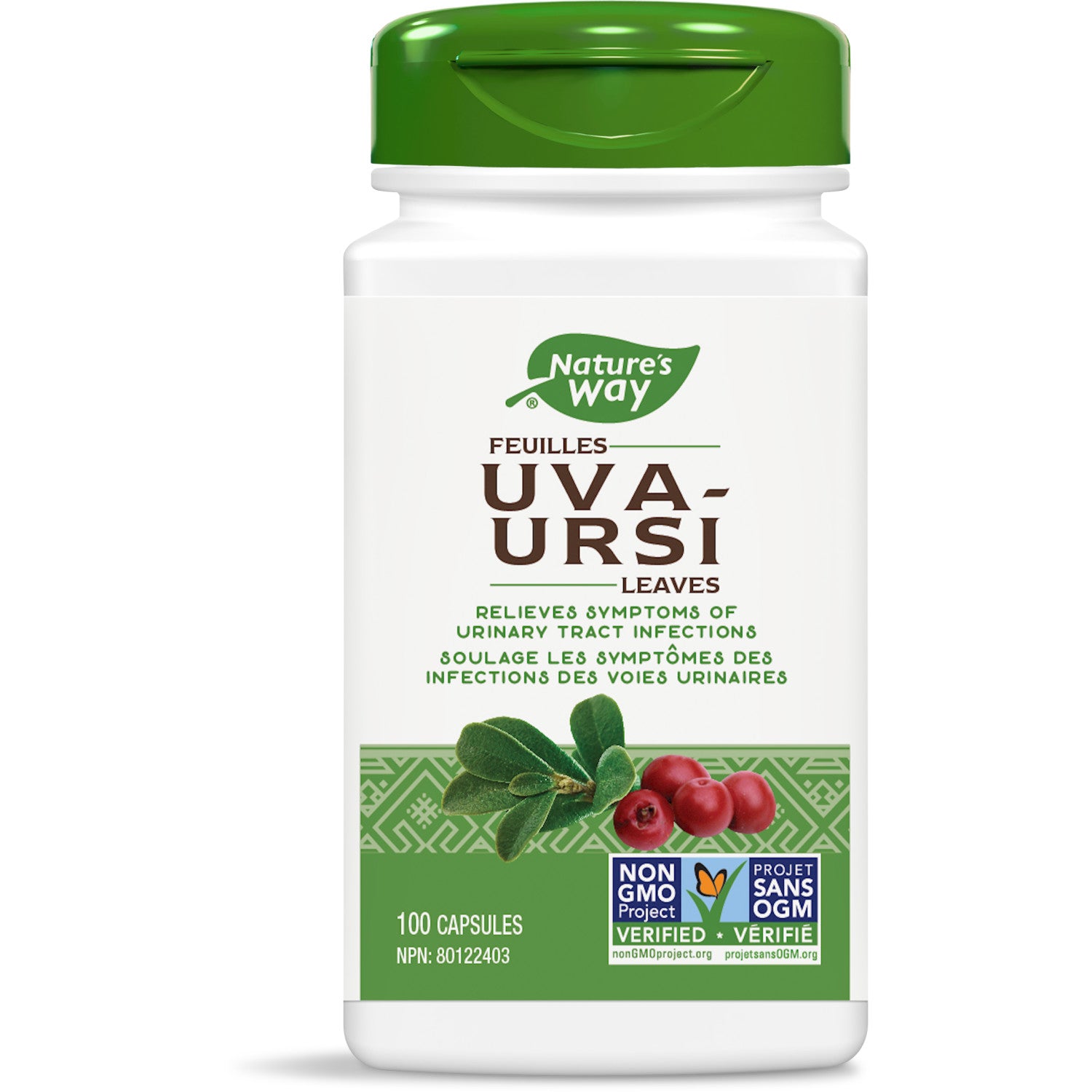 Uva Ursi Leaves / 100 capsules
