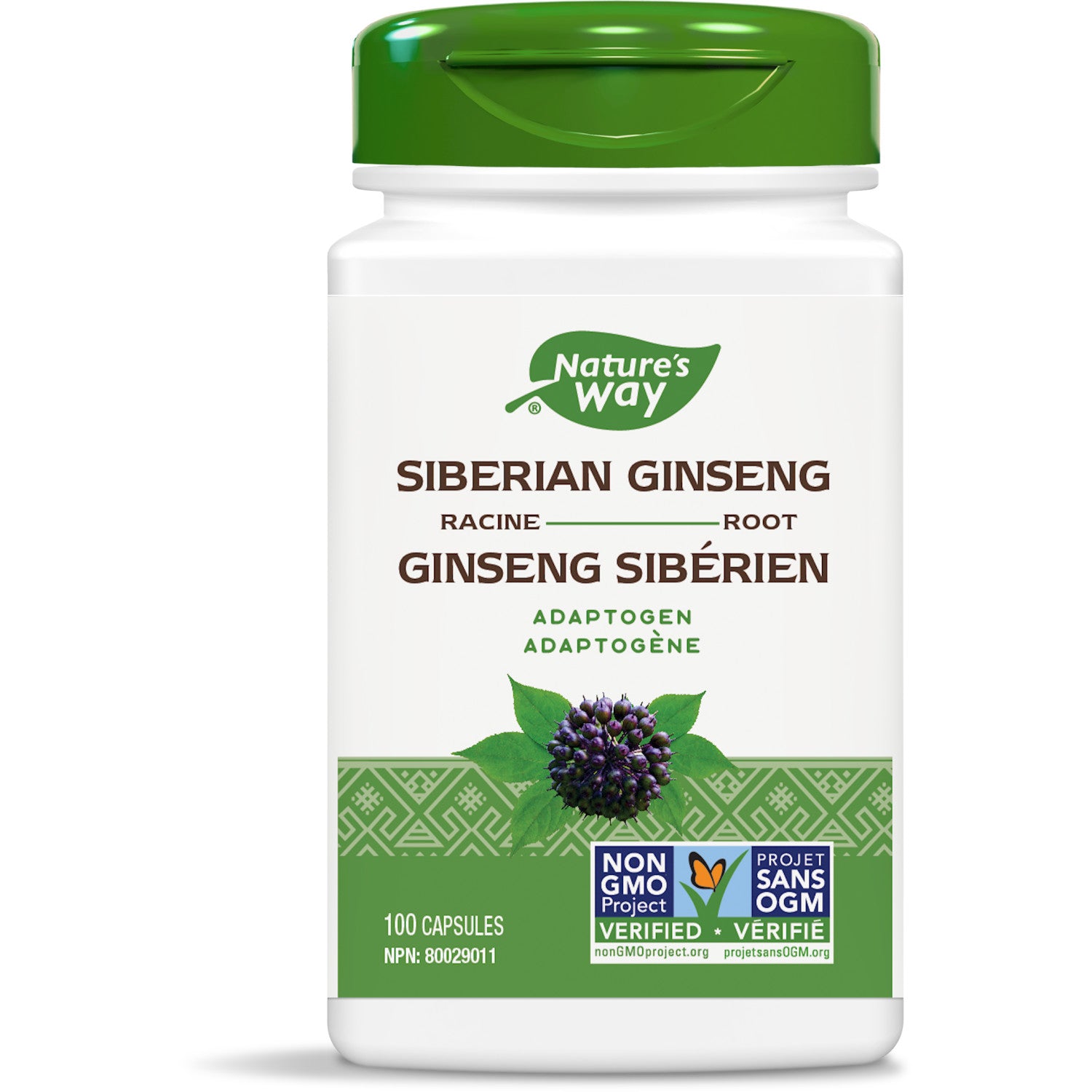 Racine de Ginseng de Sibérie / 100 gélules