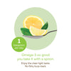 NutraSea® Omega-3, Lemon / 16.9 fl oz (500 ml)