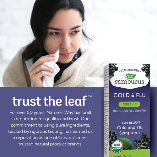 Organic Sambucus Cold and Flu Care, Syrup / 8 fl oz (240 ml)