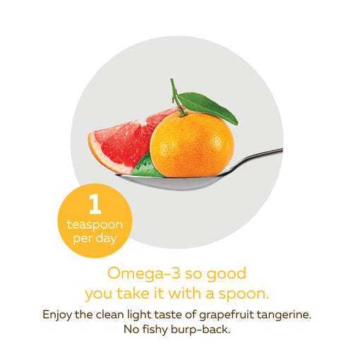 NutraSea+D Oméga-3, Pamplemousse Tangerine / 200 mL (6,8 oz liq.)